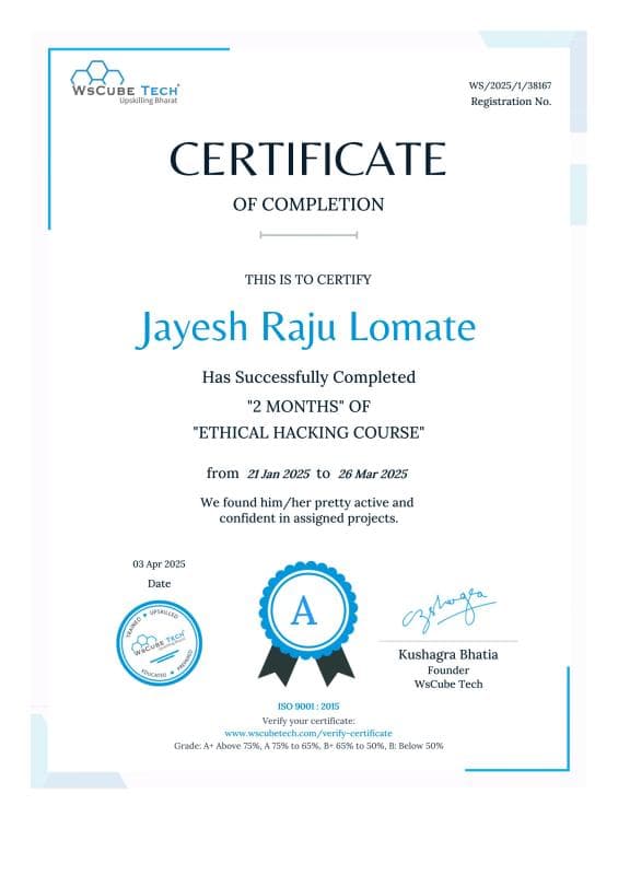 Professional Certificate 01 certificate